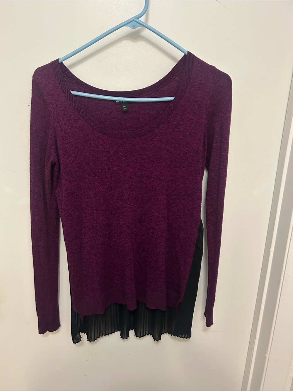Express Plum Scoop Neck Long-Sleeve Top
